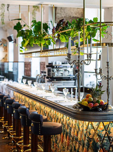 Elegante Restaurantbar mit Pflanzen und einer einladenden Atmosphäre. | © Florian Weitzer Hotels & Restaurants