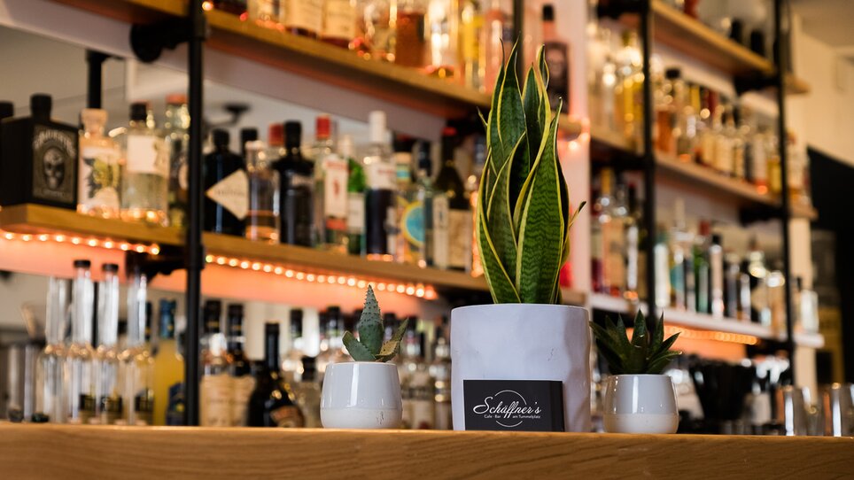 Theke mit Pflanzen und Spirituosen im Hintergrund. | © Schäffner