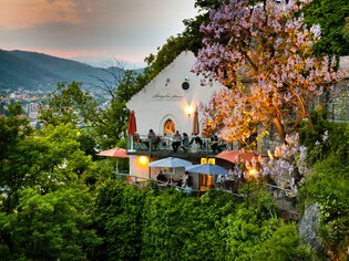 The Starcke House in Graz with terraces and flowering tree. | © Graz Tourismus - Werner Krug