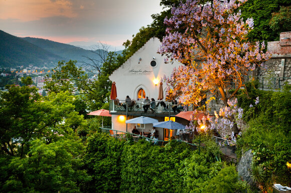 Das Starcke Haus in Graz mit Terrassen und blühendem Baum. | © Graz Tourismus - Werner Krug