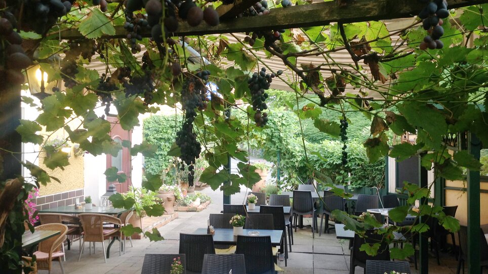 Cozy outdoor area with grapes and tables.