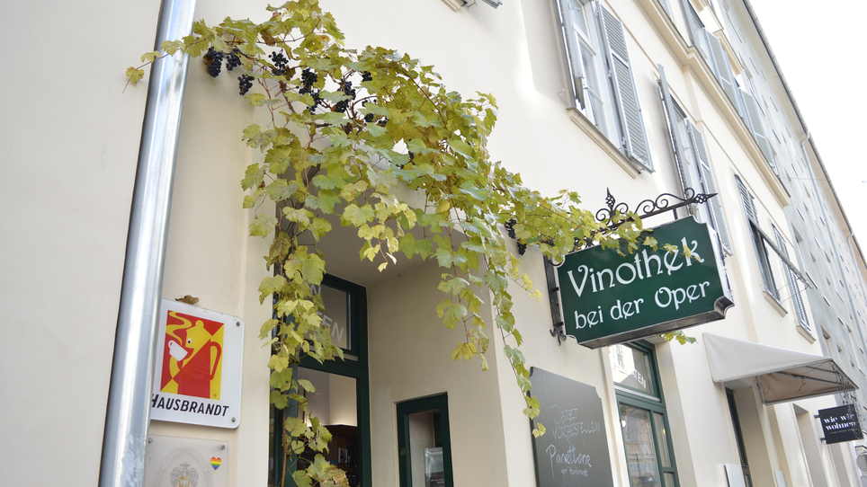 Ingresso della Vinothek bei der Oper con viti e insegna. | © Vinothek bei der Oper