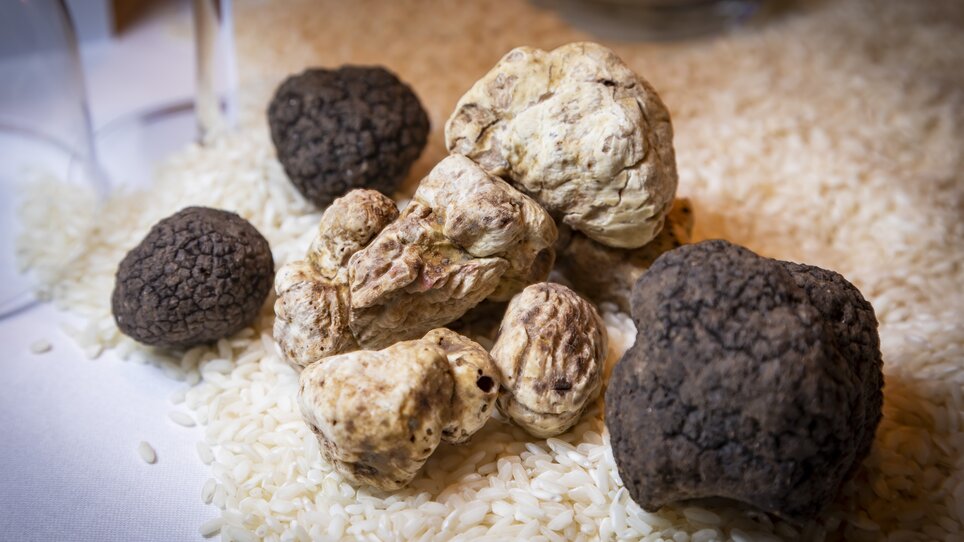 A selection of truffles on rice displayed on a table. | © Werner Krug