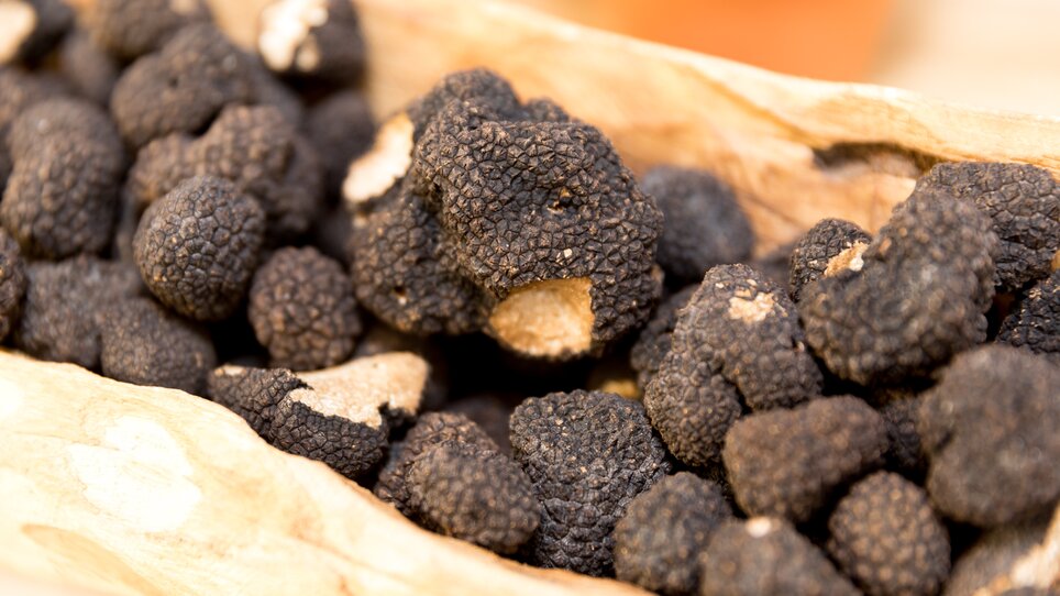 A wooden board with black truffles displayed at a market. | © Graz Tourismus - Harry Schiffer