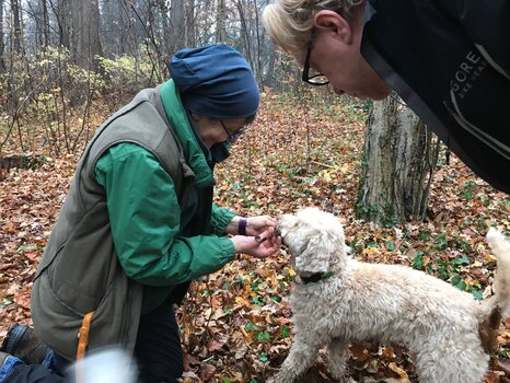A woman and a man with a truffle-hunting dog in the deciduous forest. | © GBG