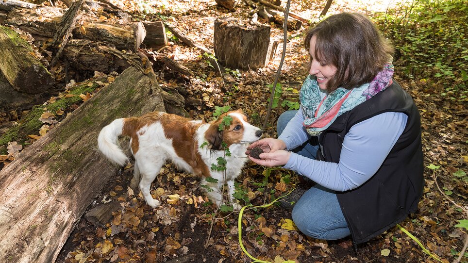 Eine Frau mit einem Hund im Wald, sie hält eine Trüffel in der Hand und zeigt diese dem Hund. | © Graz Tourismus - Harry Schiffer