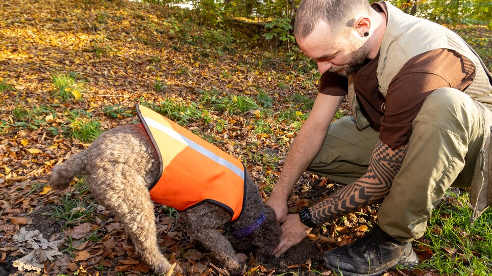 Ein Mann gräbt mit seinem Hund in der Erde im Laubwald. | © Graz Tourismus - Harry Schiffer