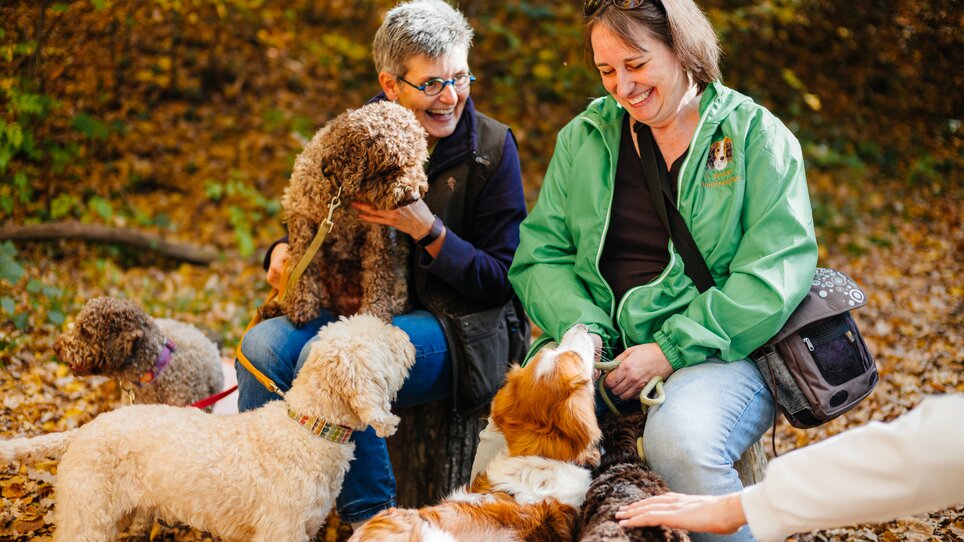 Zwei Frauen sitzen im Wald mit mehreren Hunden, umgeben von buntem Laub. | © Gregor Hiebl