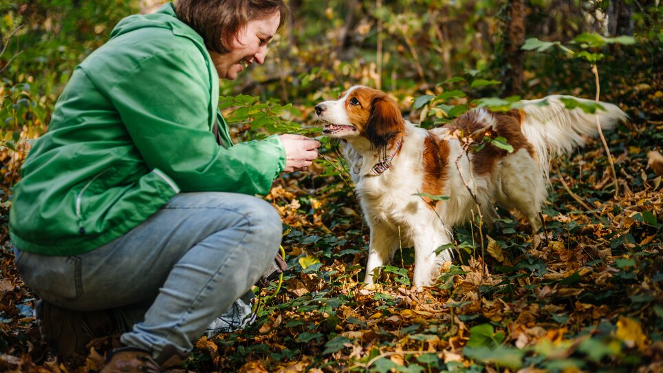 Eine Frau und ihr Hund genießen die Zeit im herbstlichen Wald, umgeben von bunter Laubpracht. | © Gregor Hiebl