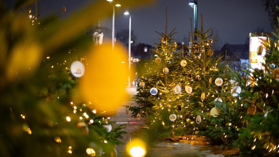Beleuchtete Weihnachtsbäume in Graz, dekoriert mit Kugeln und Lichtern, in der Dunkelheit. | © Graz Tourismus - Harry Schiffer