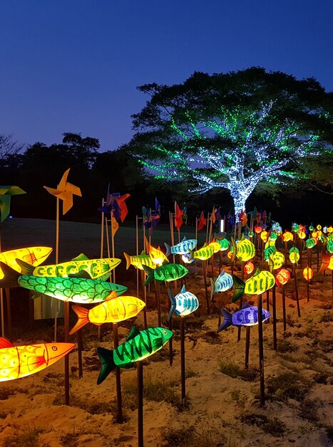 Colorful illuminated fish and a lit tree against the twilight. | © MK Ilumination-LUMAGICA GmbH