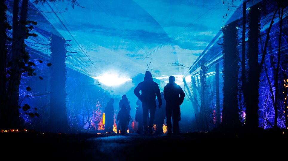 Silhouetten von Menschen in einem beleuchteten Park bei Nacht, umgeben von bunten Lichtern und Nebel. | © Erwin Scheriau