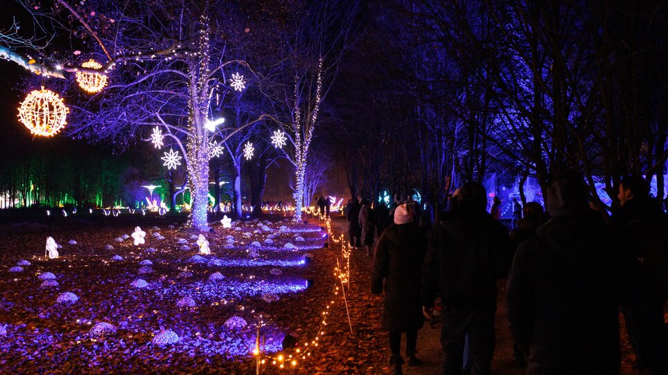 Eine belebte Winterlandschaft mit bunten Lichtern und Besuchern auf einem beleuchteten Weg. | © Erwin Scheriau