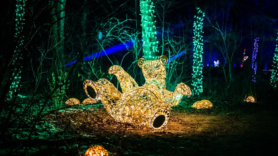 Ein beleuchteter Bär aus Lichtern liegt im Park zwischen Bäumen. | © Lumagica Frohnleiten