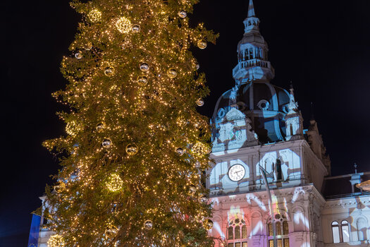 Christmas tree in front of the town hall in Graz, illuminated with golden ornaments. | © Graz Tourismus-Harry Schiffer