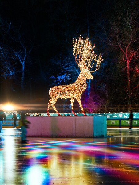 Illuminated reindeer at ice skating rink at night, surrounded by colorful lights and visitors. | © Leon Moik