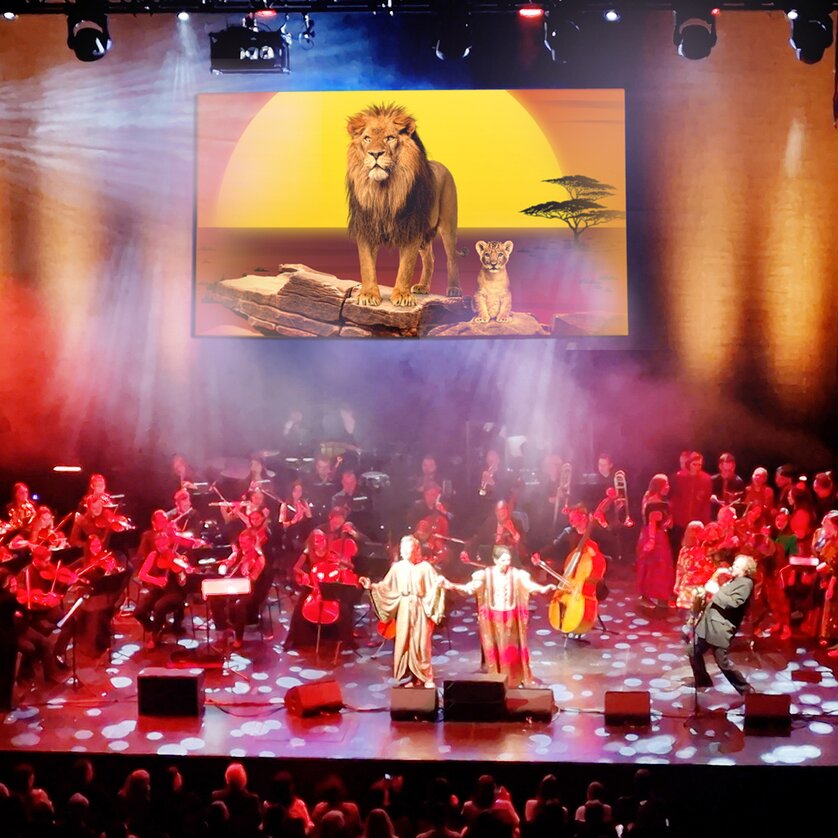 könig der löwen live in concert | © cofo entertainment könig der löwen live in concert | © cofo entertainment