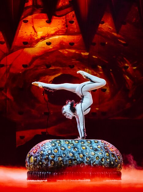 Cirque du soleil OVO 20-12  MA74686HR | © Marie-Andrée Lemire