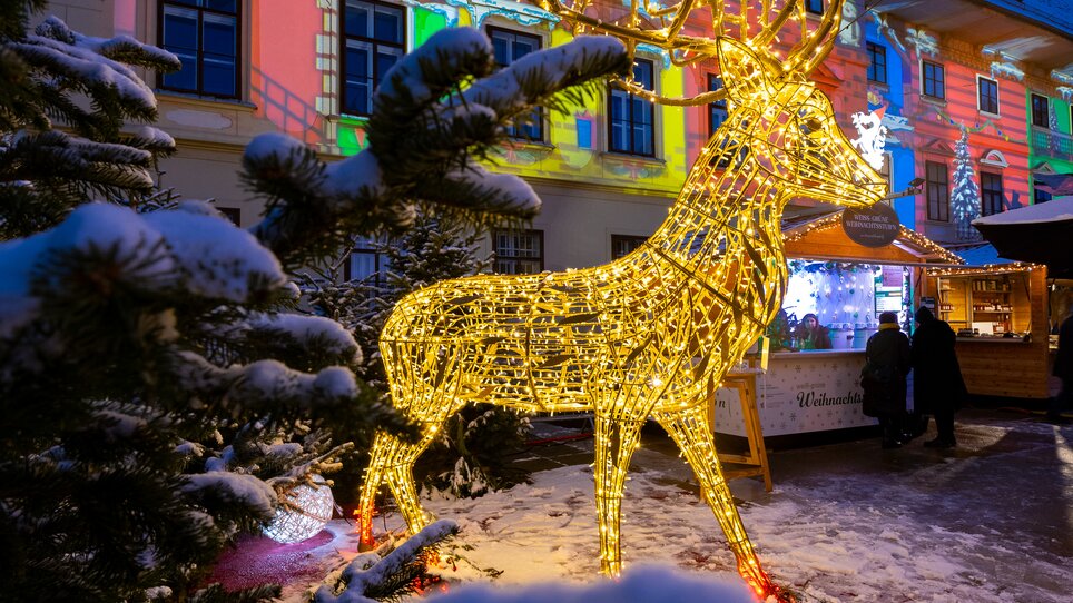 Natale a Karmeliterplatz I Graz | © Harry Schiffer