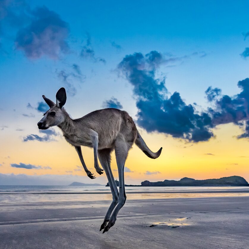 Anderswo AusNZ | © Dirk Bleyer Anderswo AusNZ | © Dirk Bleyer