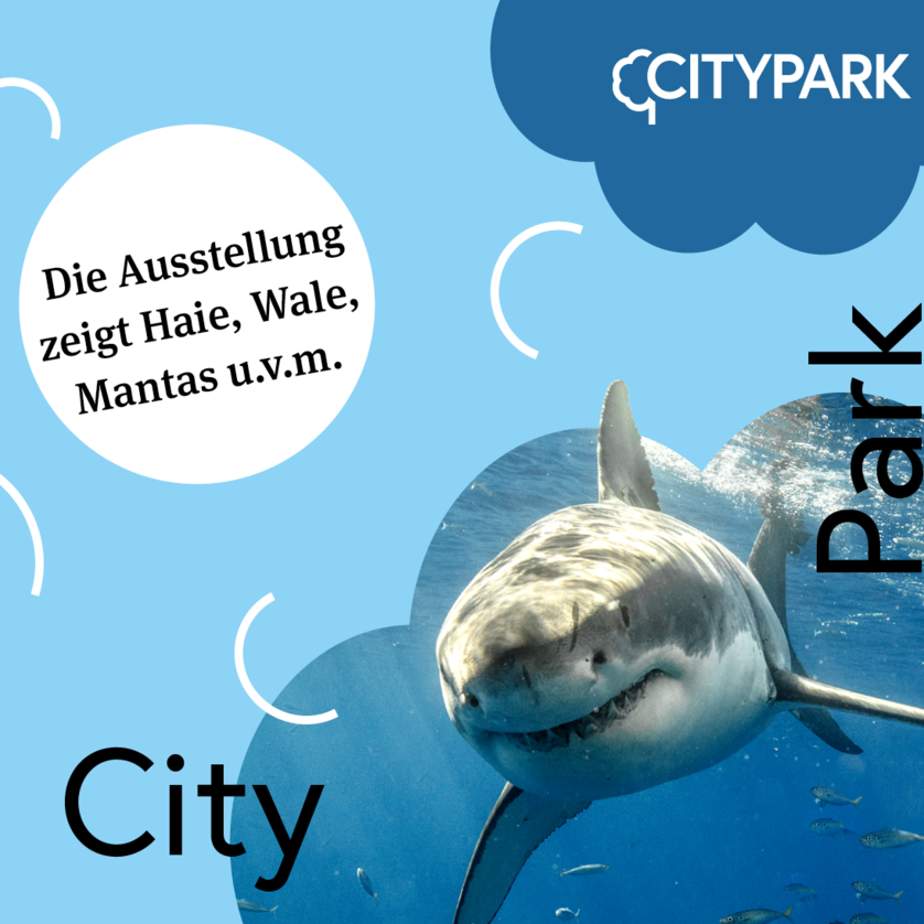 Riesen der Meere im Citypark | © Citypark Riesen der Meere im Citypark | © Citypark
