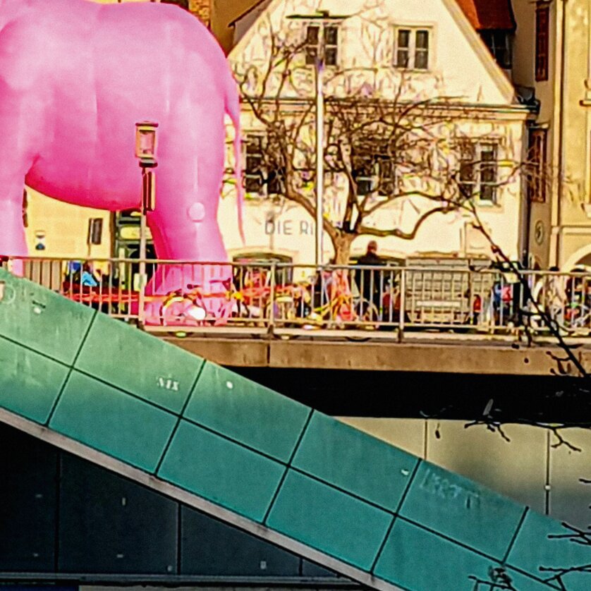 Stücksujet Die Nashörner | © Ines Pamperl  Scroll durch dein Leben!