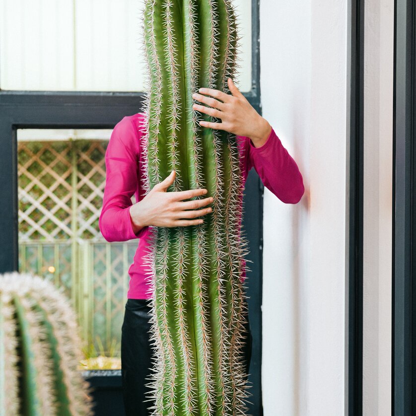 Meta-Morphosen | © Johanna Lamprecht Meta-Morphosen | © Johanna Lamprecht