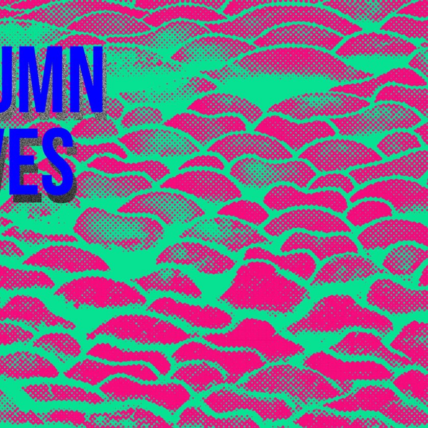 Grafik mit herbstlichen Blattmustern in leuchtenden Farben. | © Platoo