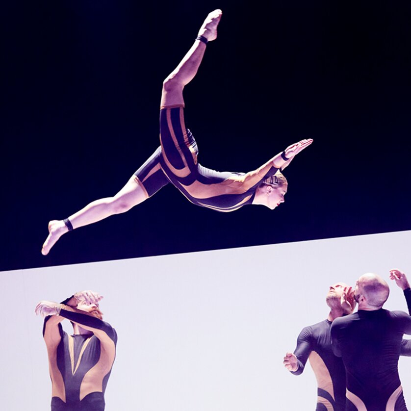 CIRCA Wolf | © CIRCA