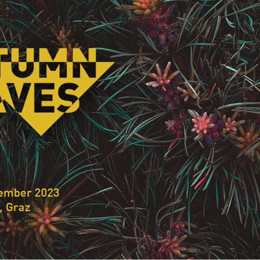 Autumn Leaves 2023 | © platoo Autumn Leaves 2023 | © platoo