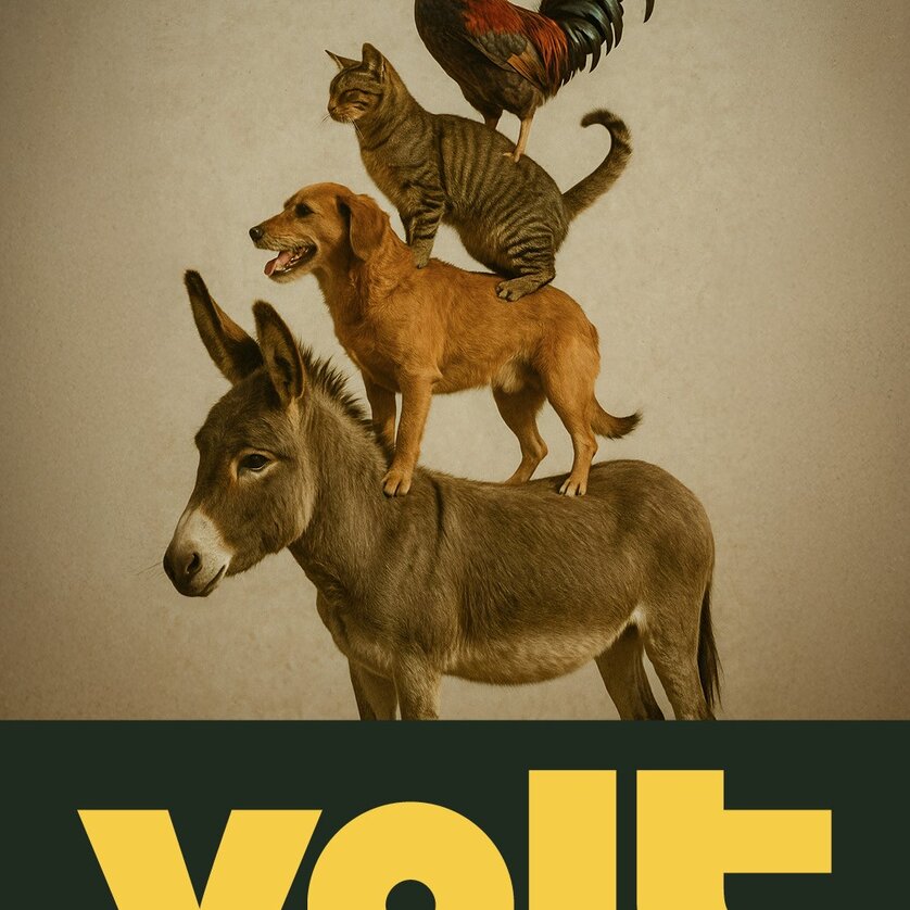 VOLT 1ste Grazer Lesebühne | © Schickeria Studio