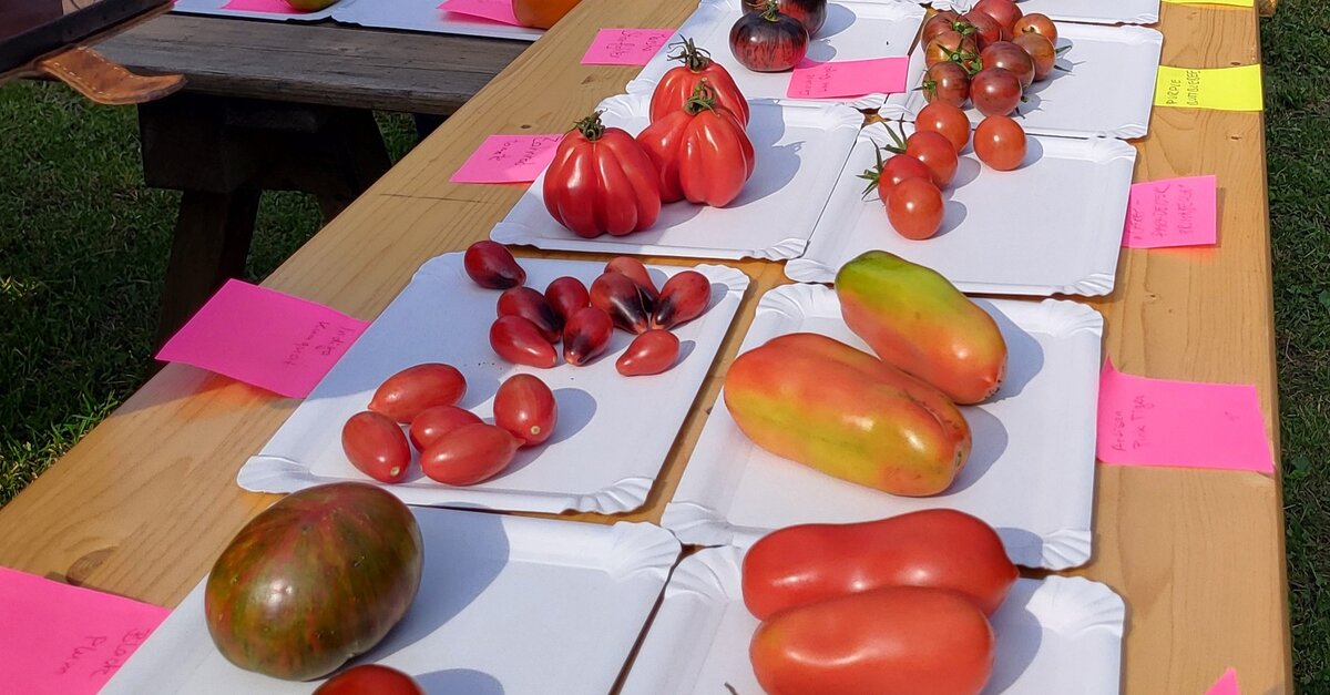 Sweet & Spicy Tomaten - Chili - Vielfalts - Fest