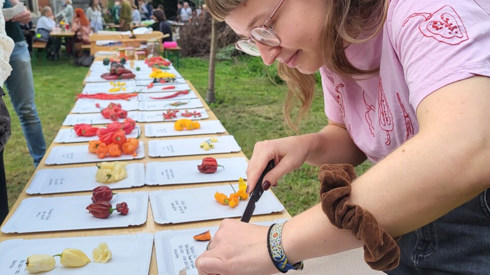 Eine Frau schneidet Chili auf einem Tisch im Freien. | © Forum Urbanes Gärtnern