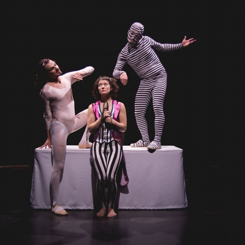 Three performers in various costumes on stage. | © Christina Berzaczy