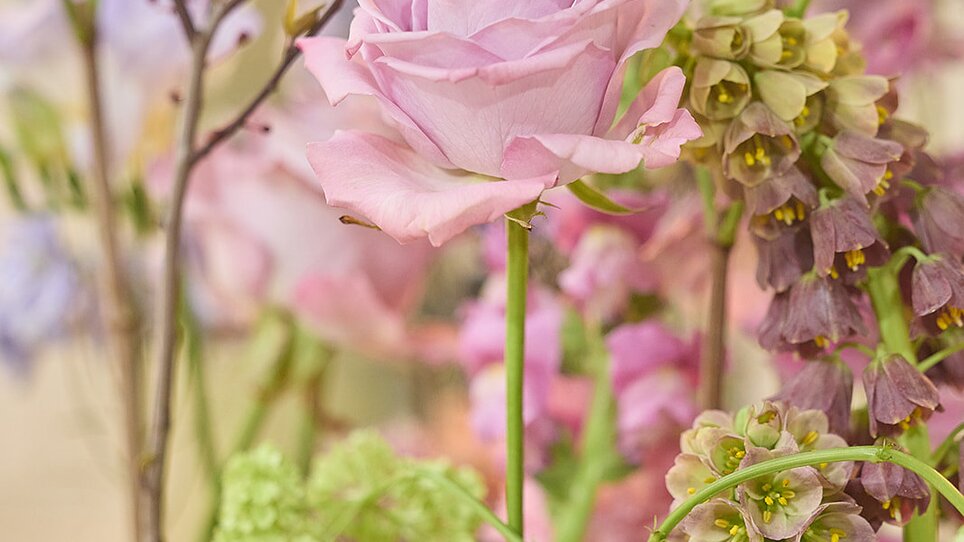 Lehrlingswettbewerb Floristinnen | © (1) Gerhard Donauer