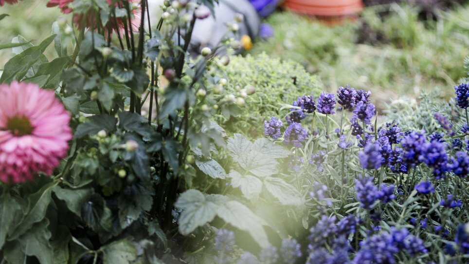 Ort der Erinnerung | © dropthebutter