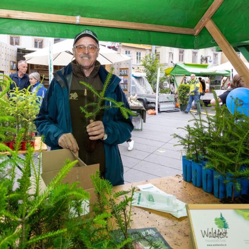 Waldfest Infostand | © Harry Schiffer Mann am Waldfest-Stand mit kleinen Tannenbäumchen, umgeben von Besucher:innen. | © Harry Schiffer