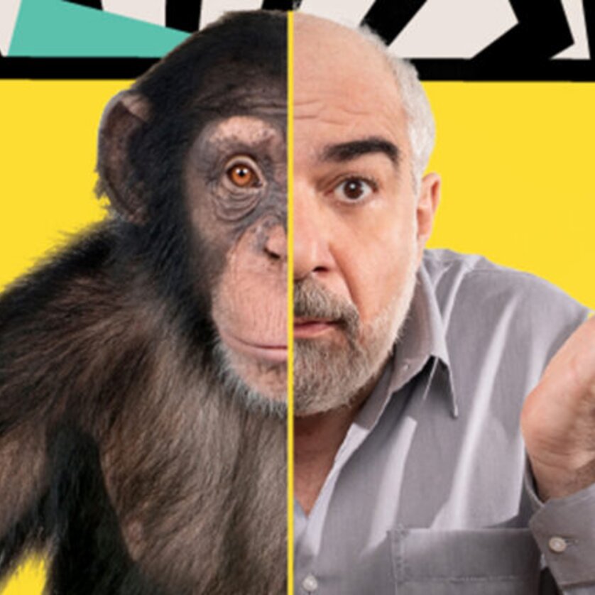 Ein Affe und ein Mann teilen sich das Bild, visuell miteinander verbunden. | © Agentur Stage