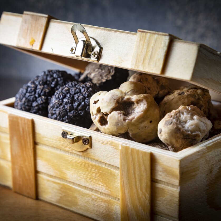 Graz Truffle Festival | © Graz Tourismus - Werner Krug