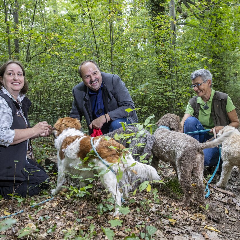Trüffelwanderung | © Ivents Kulturagentur - Erwin Scheriau Trüffelwanderung | © Ivents Kulturagentur - Erwin Scheriau