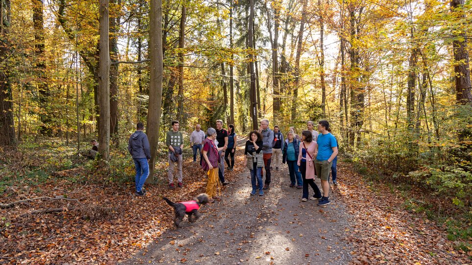 Trüffelwanderung im Grazer Leechwald | © Graz Tourismus - Harry Schiffer