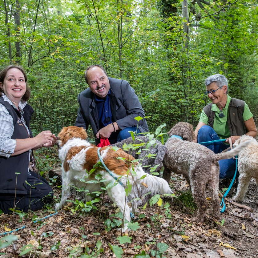 Escursioni guidate nel Leechwald di Graz | © Ivents Kulturagentur - Erwin Scheriau Escursioni guidate nel Leechwald di Graz | © Ivents Kulturagentur - Erwin Scheriau