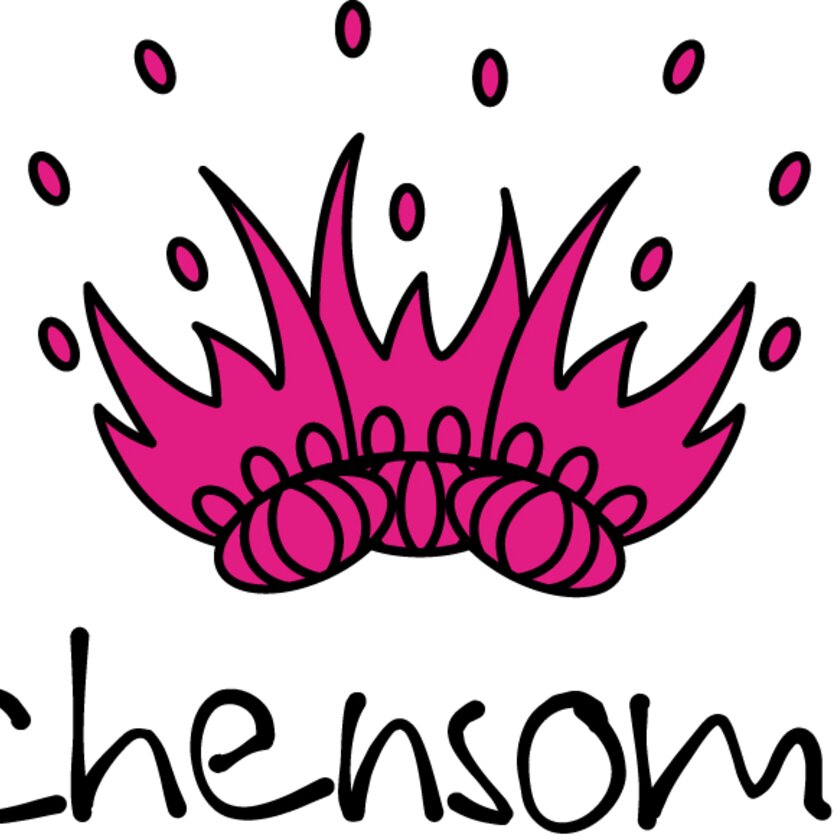 Logo des Märchensommer Steiermark zeigt eine pinkfarbene Krone und darunter den Schriftzug Märchensommer | © Märchensommer Steiermark