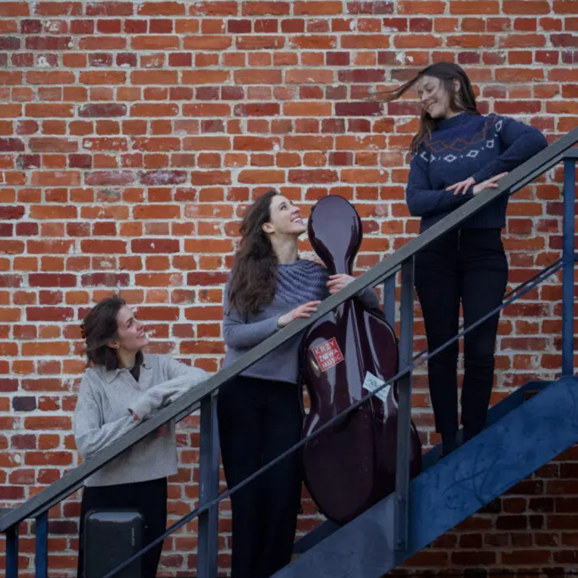 Drei Frauen auf einer Treppe, eine hält ein Cello und die anderen schauen sie an. | © Betsa Collins