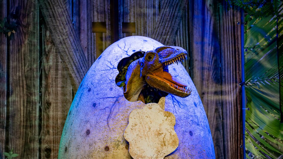 Ein Dinosaurier schlüpft aus einem Ei, umgeben von Dschungel-Dekor. | © Timo Tutschek