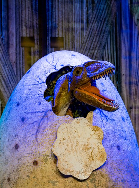 Ein Dinosaurier schlüpft aus einem Ei, umgeben von Dschungel-Dekor. | © Timo Tutschek