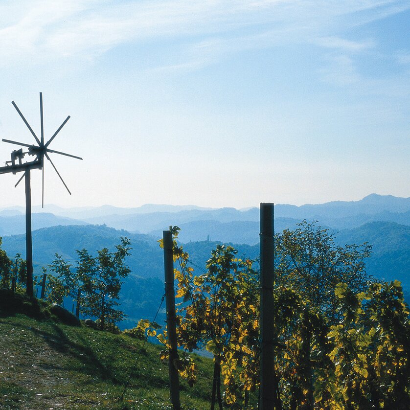 Picturesque view of mountains with a windmill and vineyards.