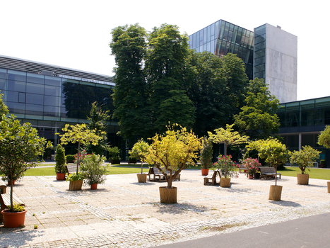 Ein moderner Gebäudekomplex umgeben von Bäumen und Pflanzen im Freien, ideal für Networking und Veranstaltungen. | © MCG