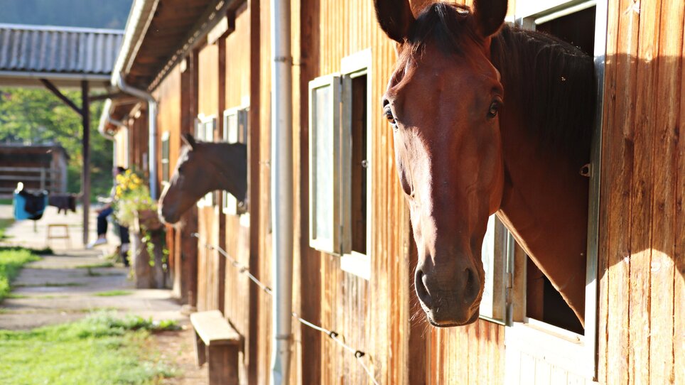 Lässerhof | © Lässerhof