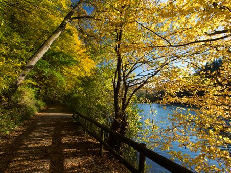 Thalersee | © Region Graz - Harry Schiffer